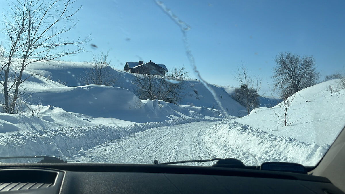 Фото автора 20.02.24г