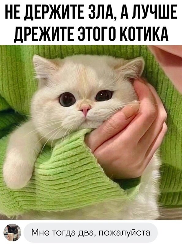 ➡️➡️➡️