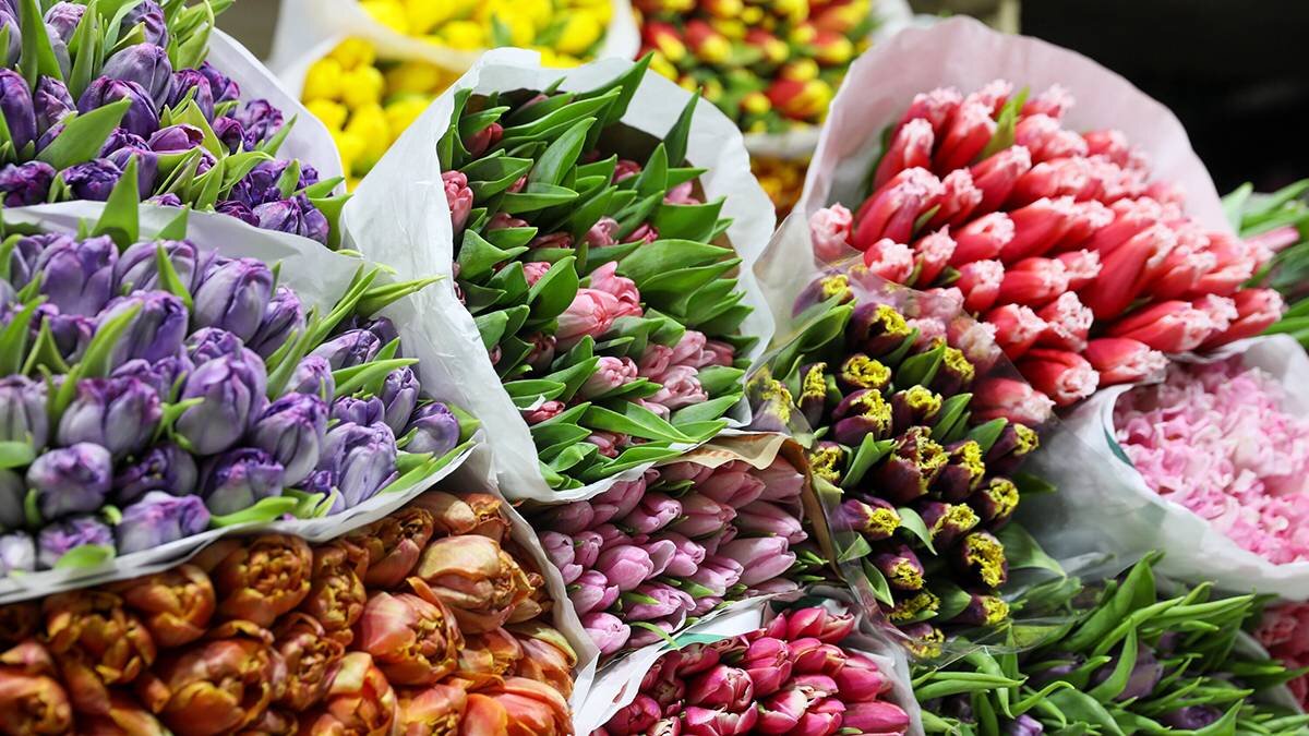    Фото: Софья Сандурская / АГН Москва