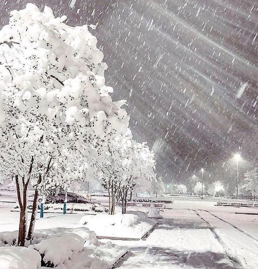 Интернет - свободный доступ