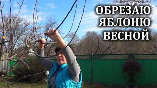 Download Video: Обрезка яблони весной Как я это делаю