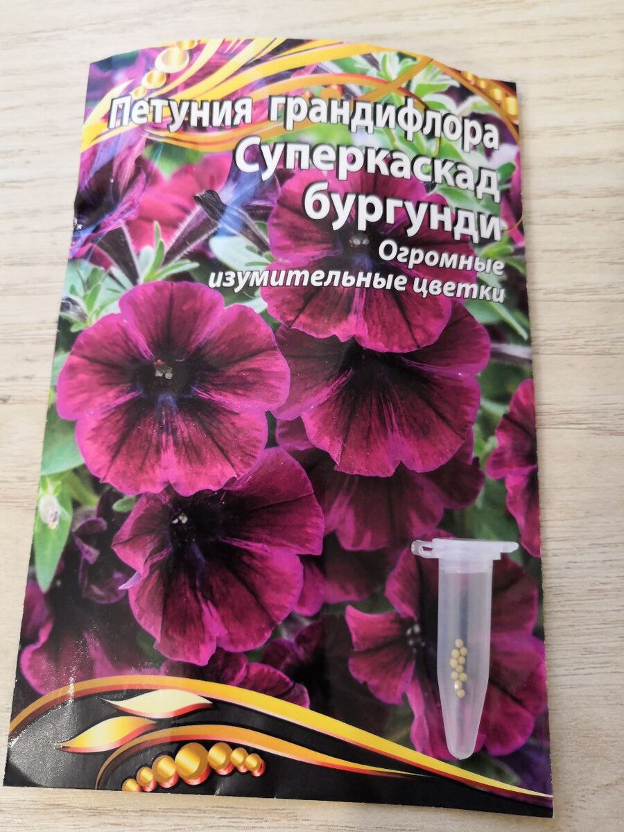 10 семечек петуньи