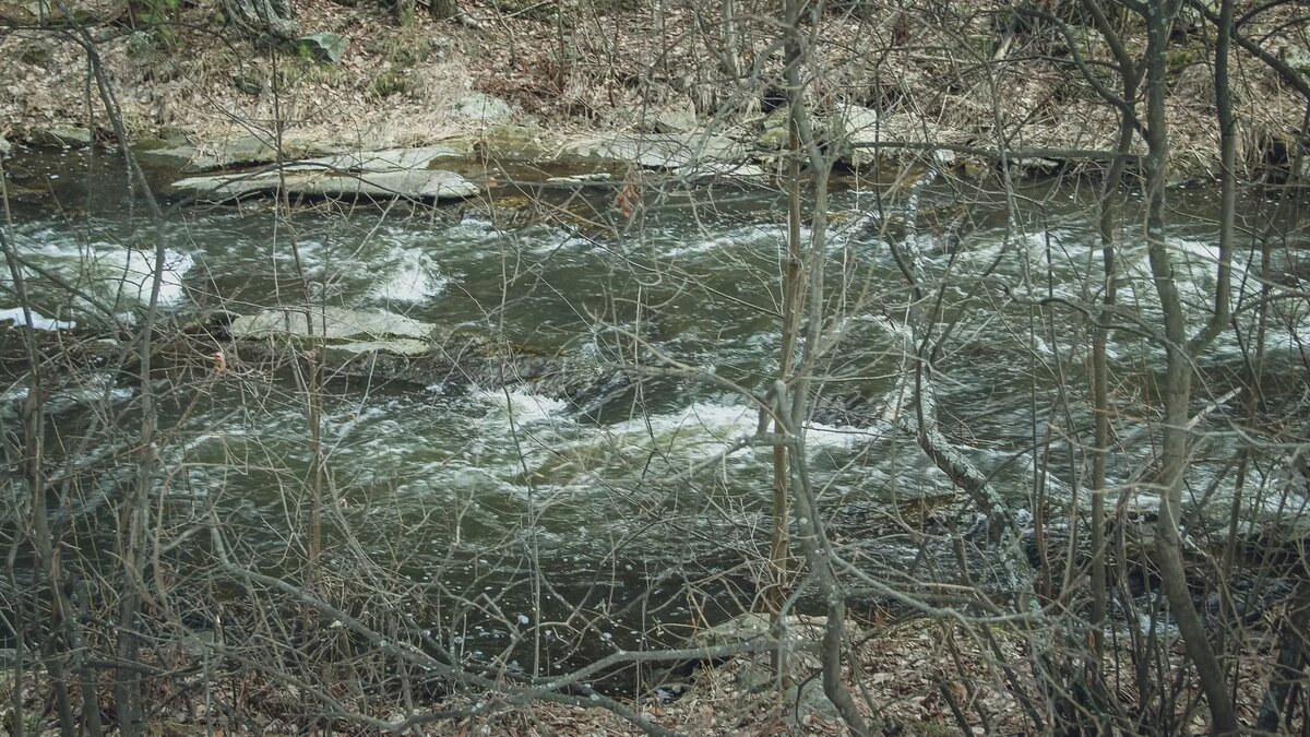     Об этом в ходе правительственного совещания доложила Глава Минприроды РК Янина Свидская.