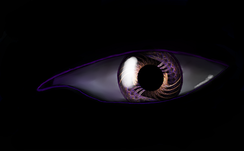 Изображение из открытого источника. Pixabay