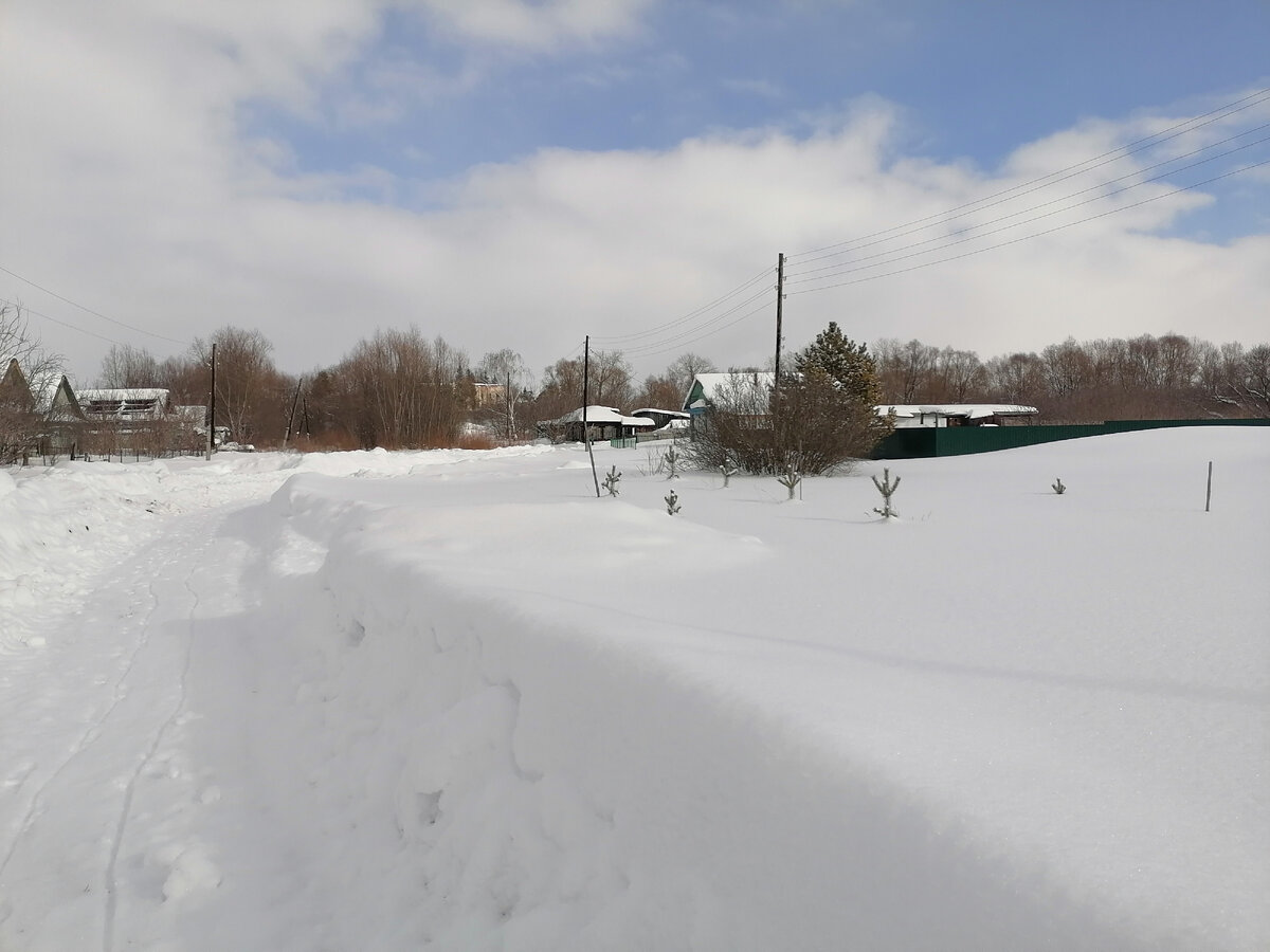 Парк Свободы на улице Пролетарская. Фотограф А. Никишин.
