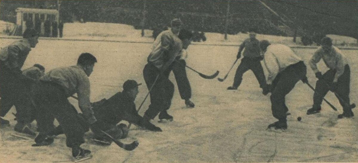 Спорт в 80 лет