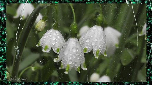 🌷 НЕЗЕМНАЯ МУЗЫКА И ШУМ ДОЖДЯ для подавления стресса и тревоги ☔️ Чарующая музыка для сна и звук дождя 🌿 Звуки природы для медитации