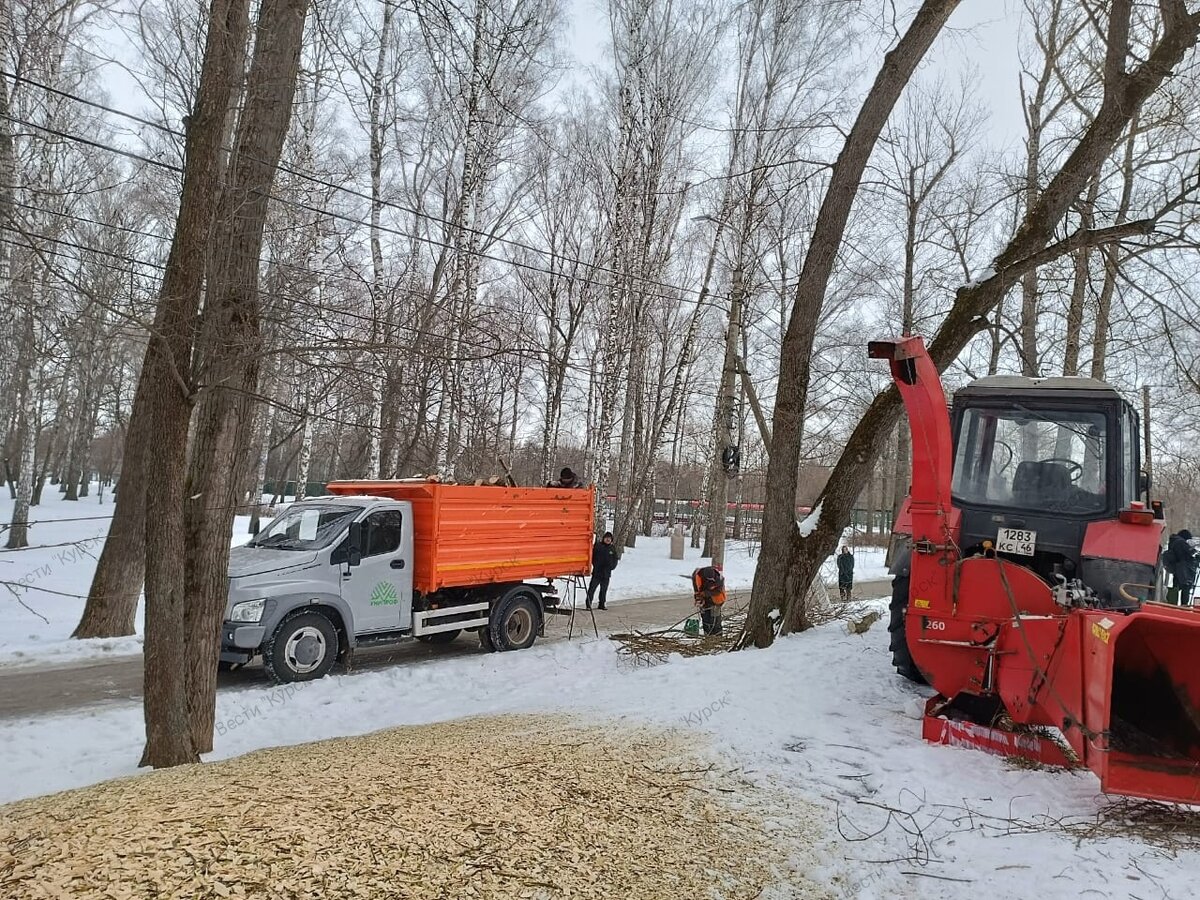    В Курске парк «Боева дача» очищают от сухих и больных деревьев