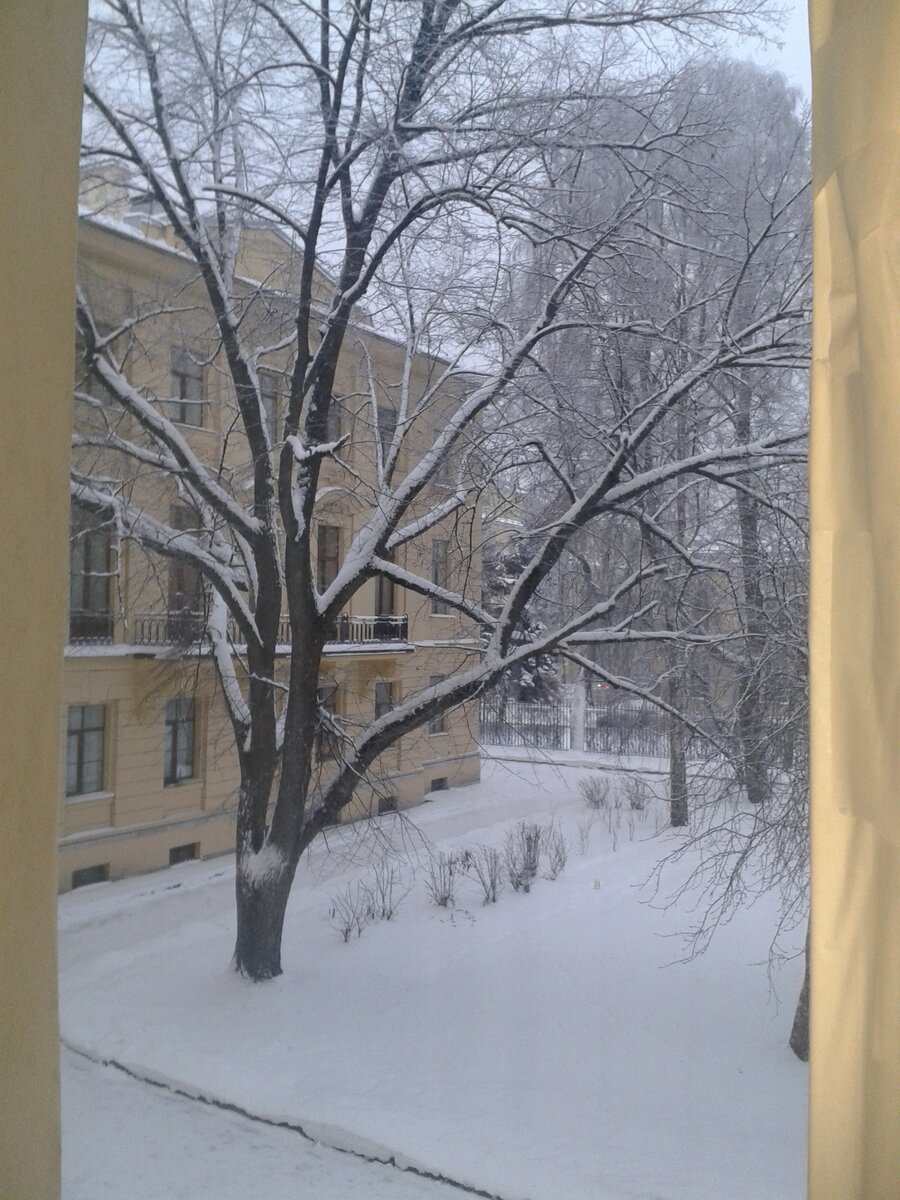 Институт Отта, Санкт-Петербург