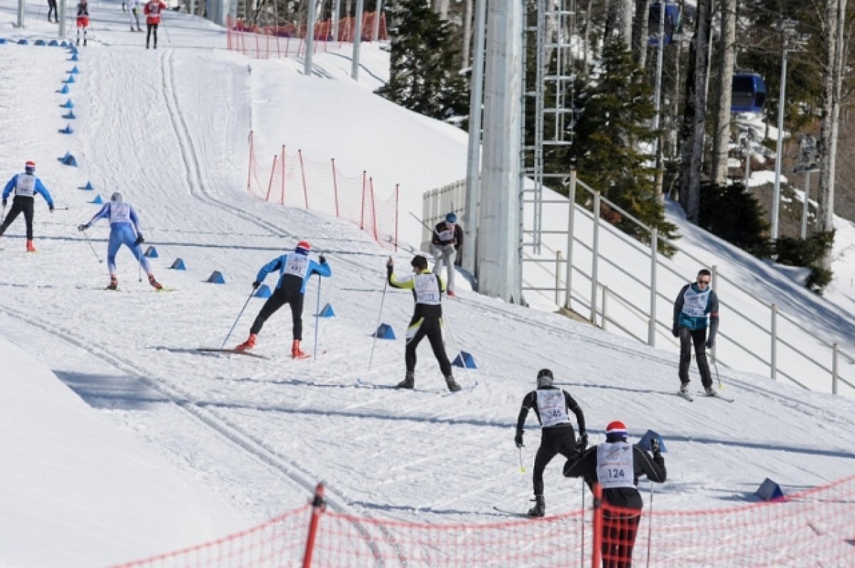    Вяльбе призналась, что поцеловала лыжню после победы Легкова на ОИ в Сочи