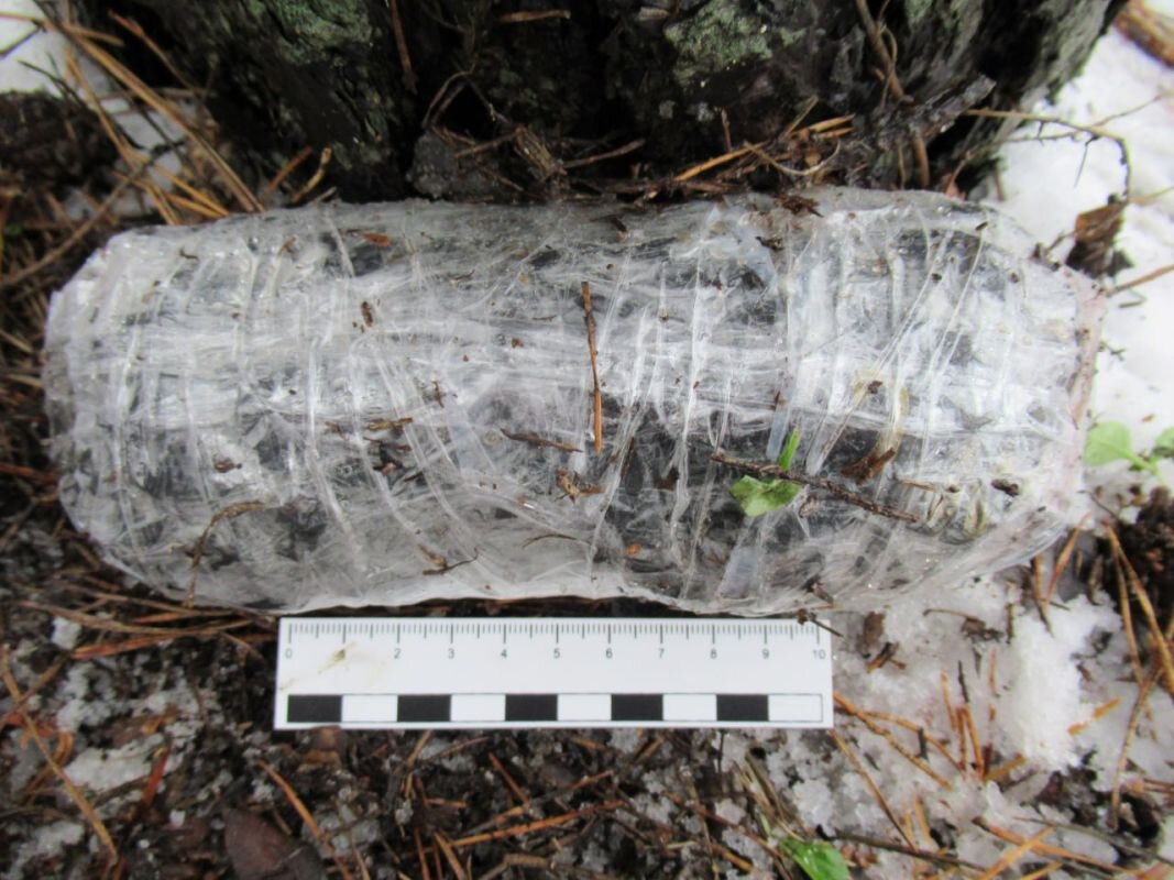      Фото: полиция Воронежской области