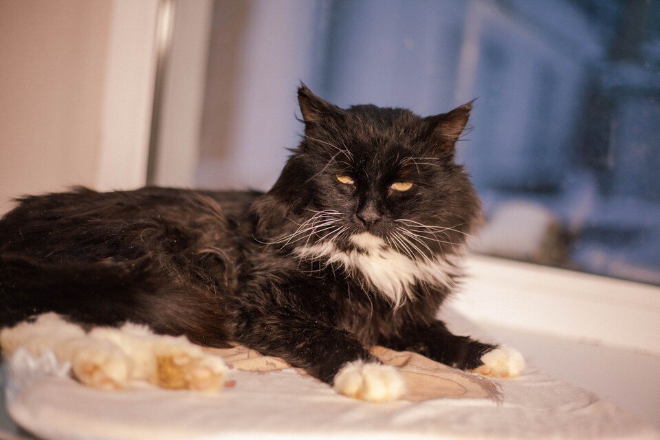    Сейчас о травме Зайца напоминают только старые видео. Фото предоставлено «КП-Челябинск».