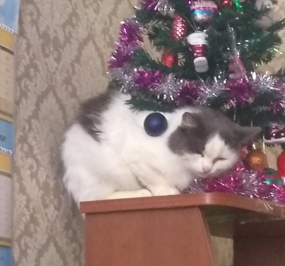 Подарочек!!!