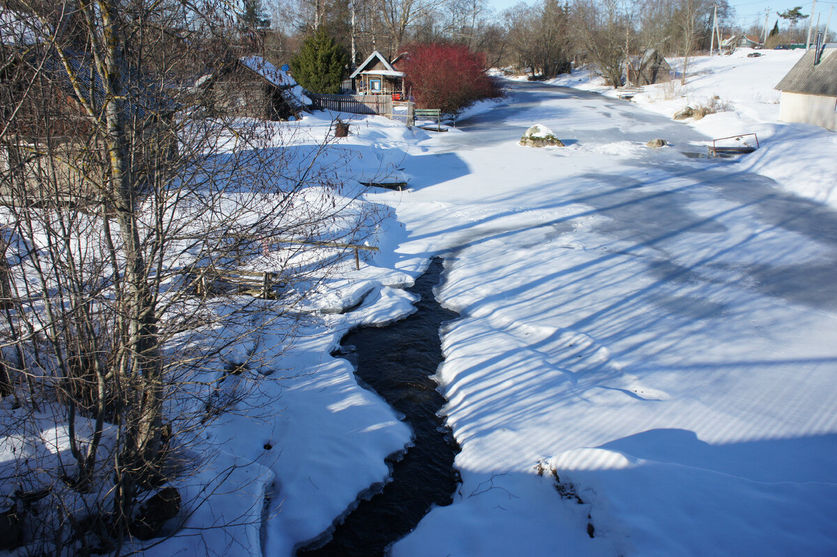тихий шепот леса. рассвет солнца. трепещущим солнцем. солнце эстетика. лучи солнца.