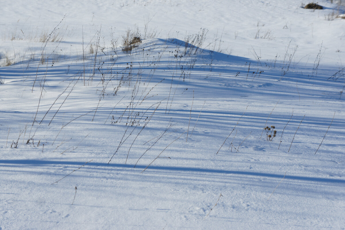 природа солнце. красивый рассвет. солнечные лучи. трепещут на солнце. озеро селигер вечер.