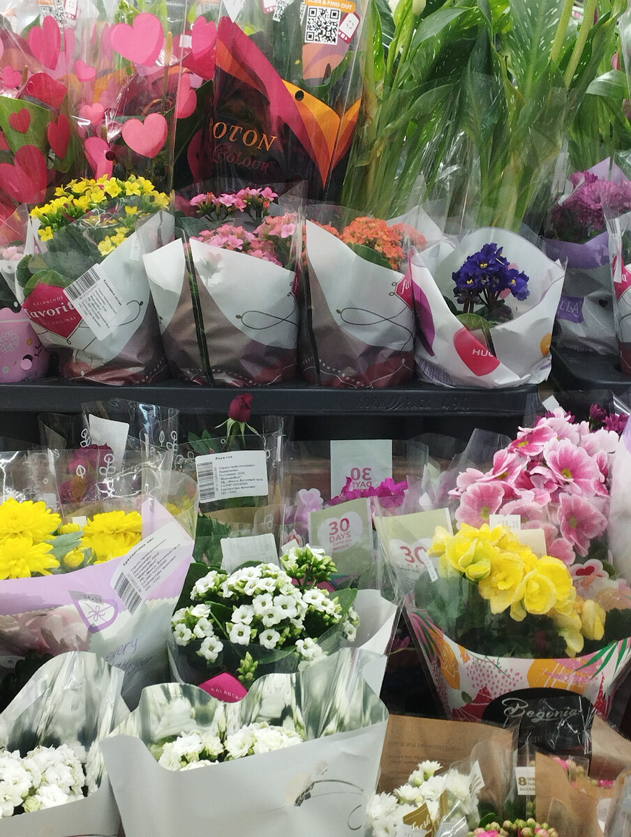 Цветочный отдел стороной никогда не обхожу