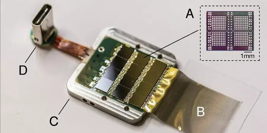    Фото: Mask et al / Neuralink.