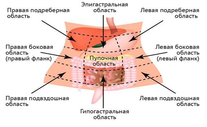 Причины болей внизу живота