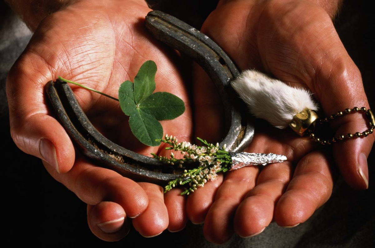 фото из интернета