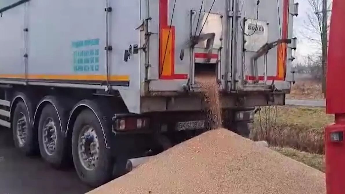 Стоп-кадр видео. Фото: Телеграм