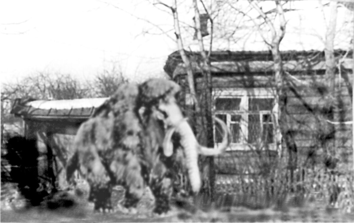 Фото присланное Игнатом Севастьяновым