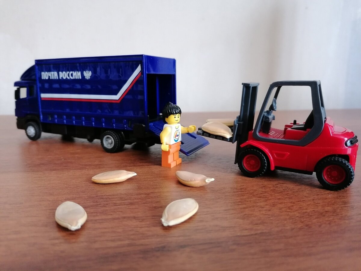 Семена гигантской тыквы доставлены в заказном письме Почтой России