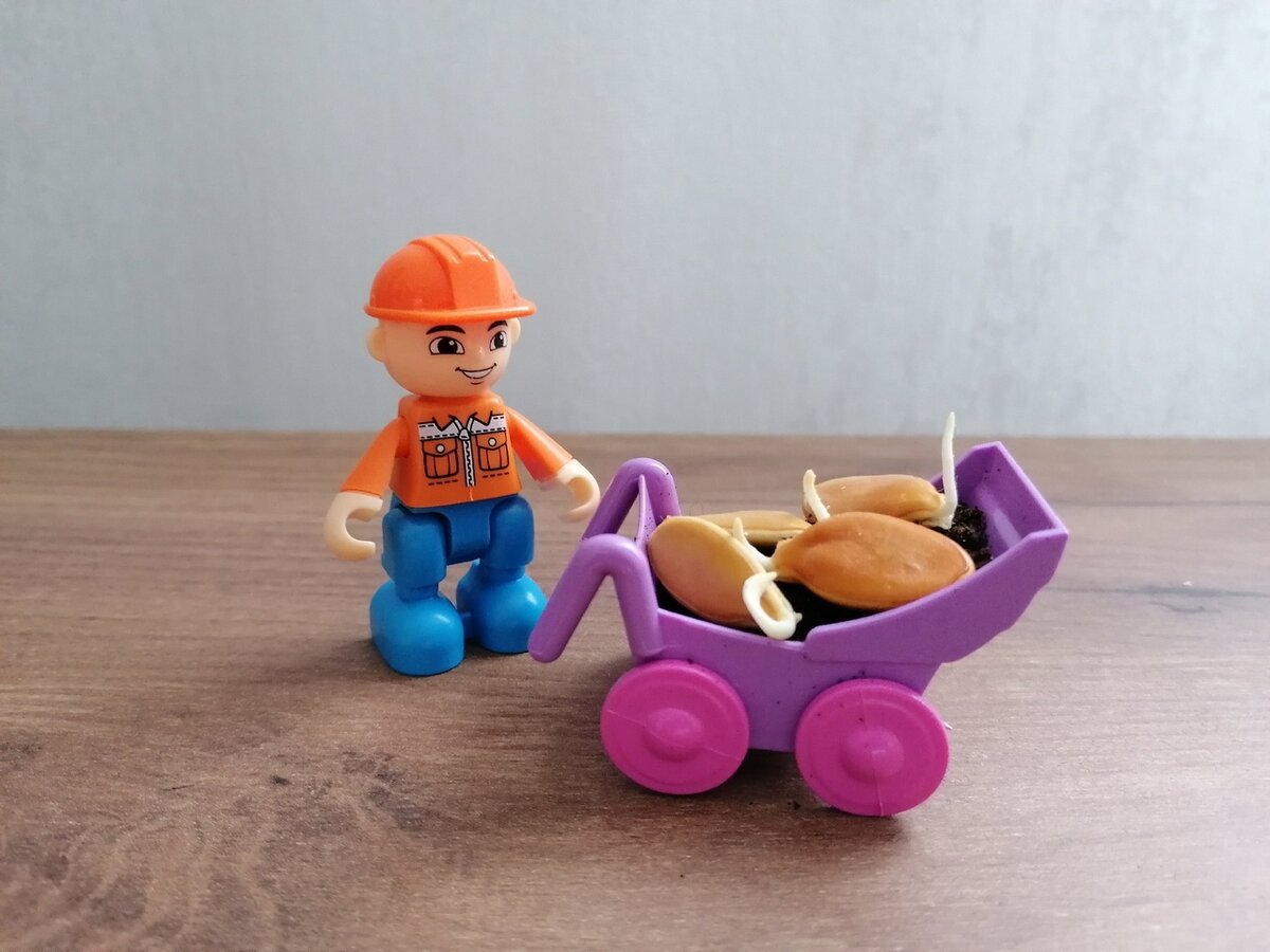 Ура! Получилось!