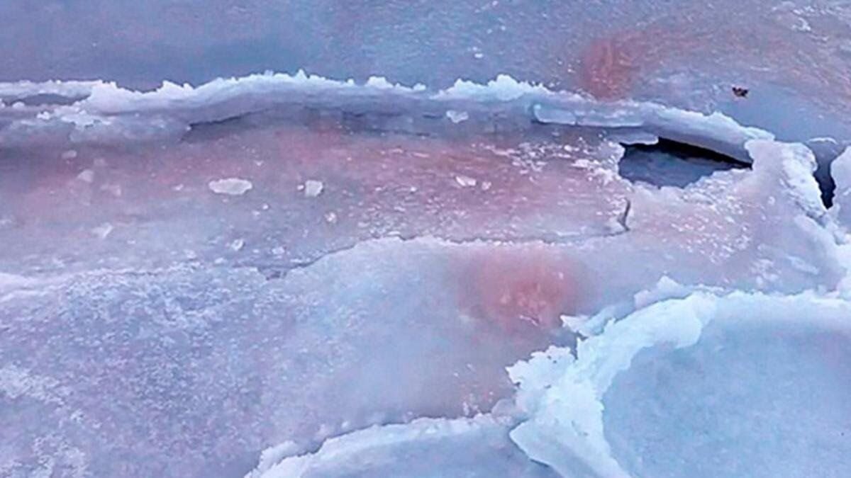    ННЦМБ ДВО РАН