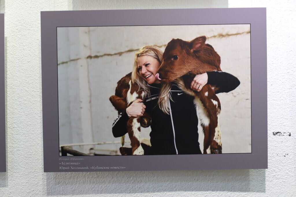    Фото: Денис Яковлев, «Краснодарские известия»