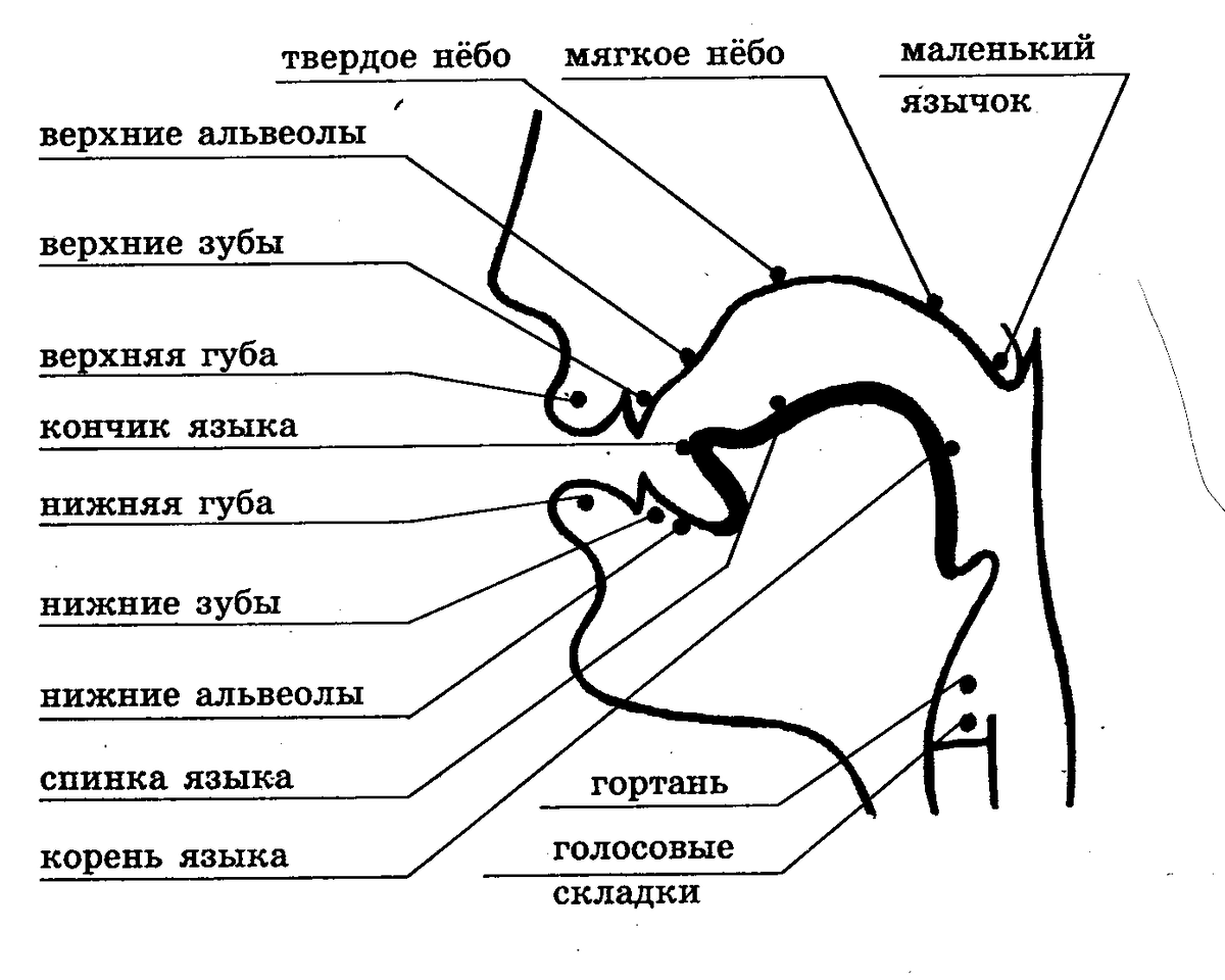 Развитие речи детей лет - Группа Смешарики - Дневники групп - Каталог статей - Подростай-ка