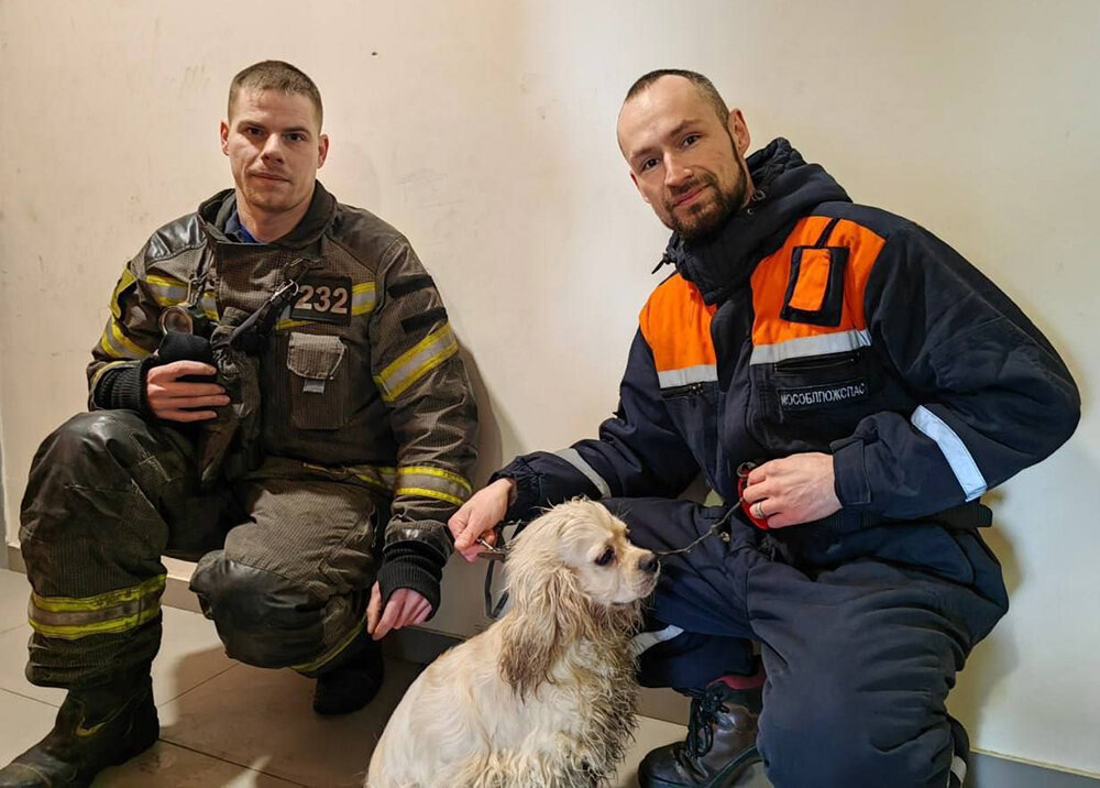    © vk.com/mosoblspas