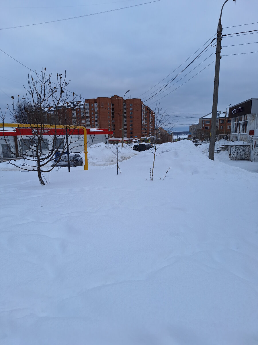 На утренней прогулке засняла барханы наши