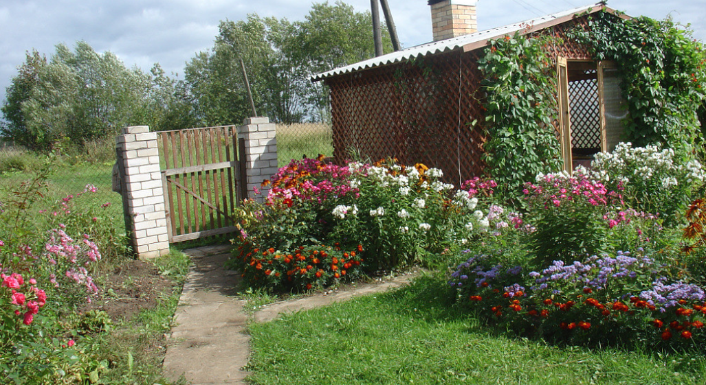 Ухоженный участок