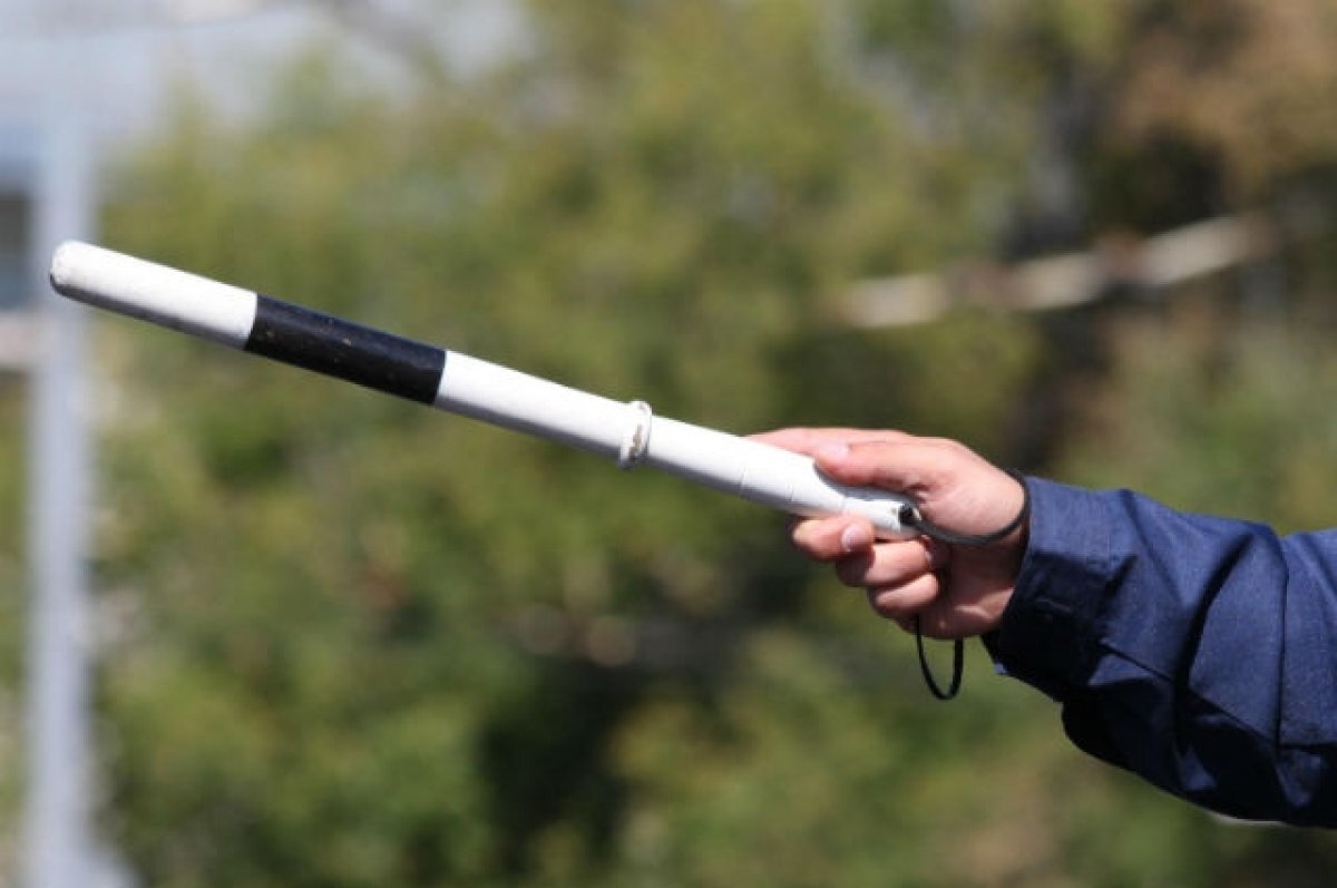    20 февраля в Рязанской области сотрудники ГИБДД проводят рейд «Автобус»