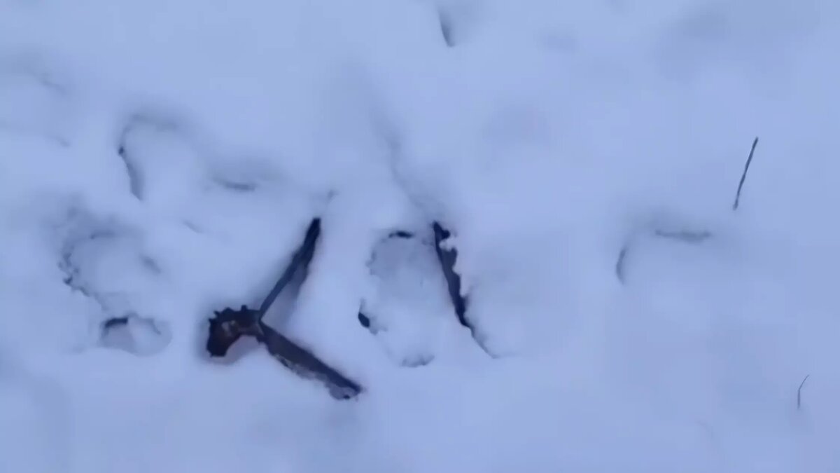     Волгоградцы заметили капкан в поселке ГЭС на севере города, сообщают горожане в соцсетях. Ловушку неожиданно нашли рядом с протоптанной в снегу дорожкой.
