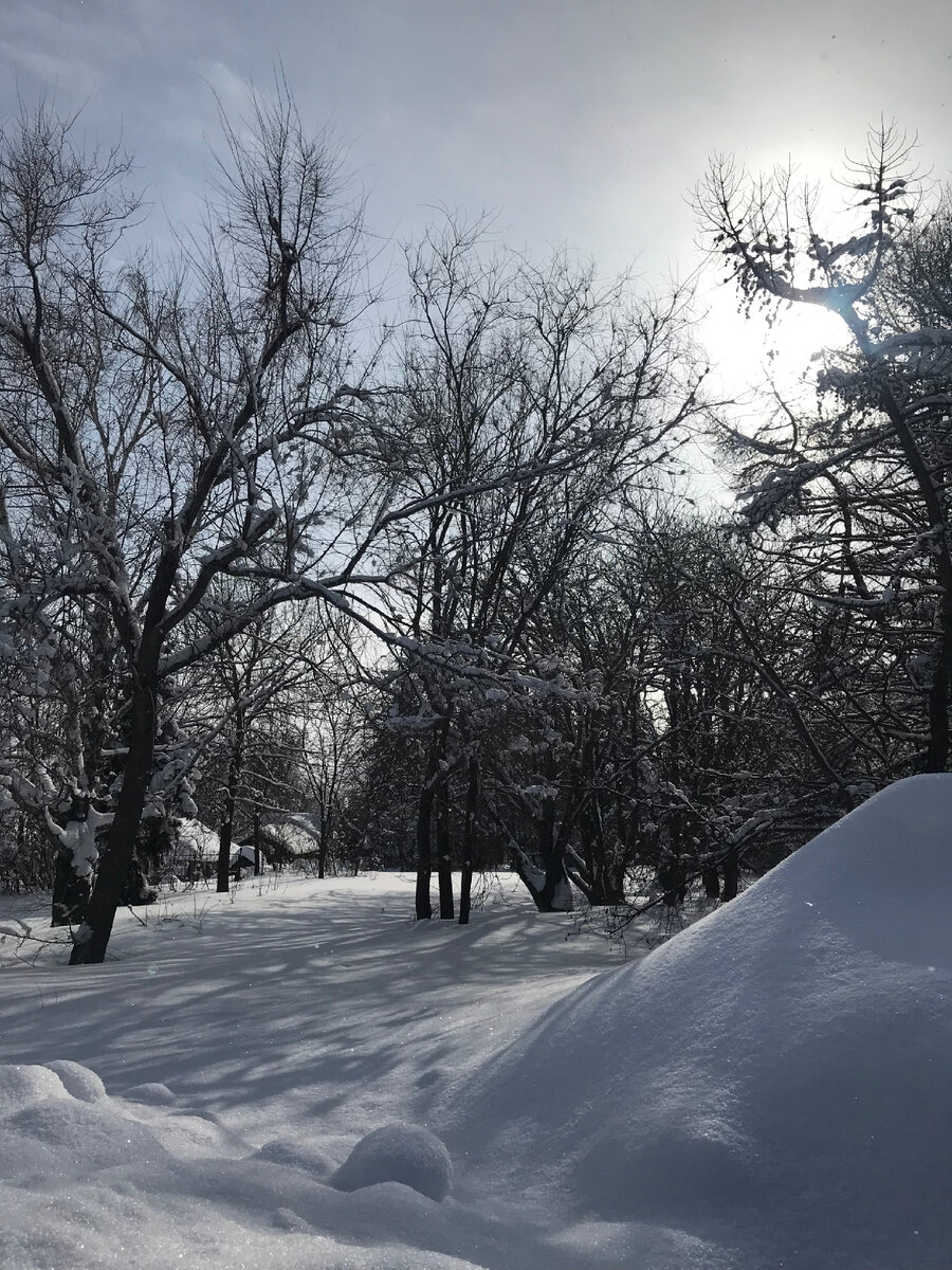 Все фото Автора канала.