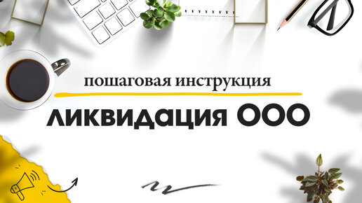 Как проходит упрощенная ликвидация ООО в 2024 году?