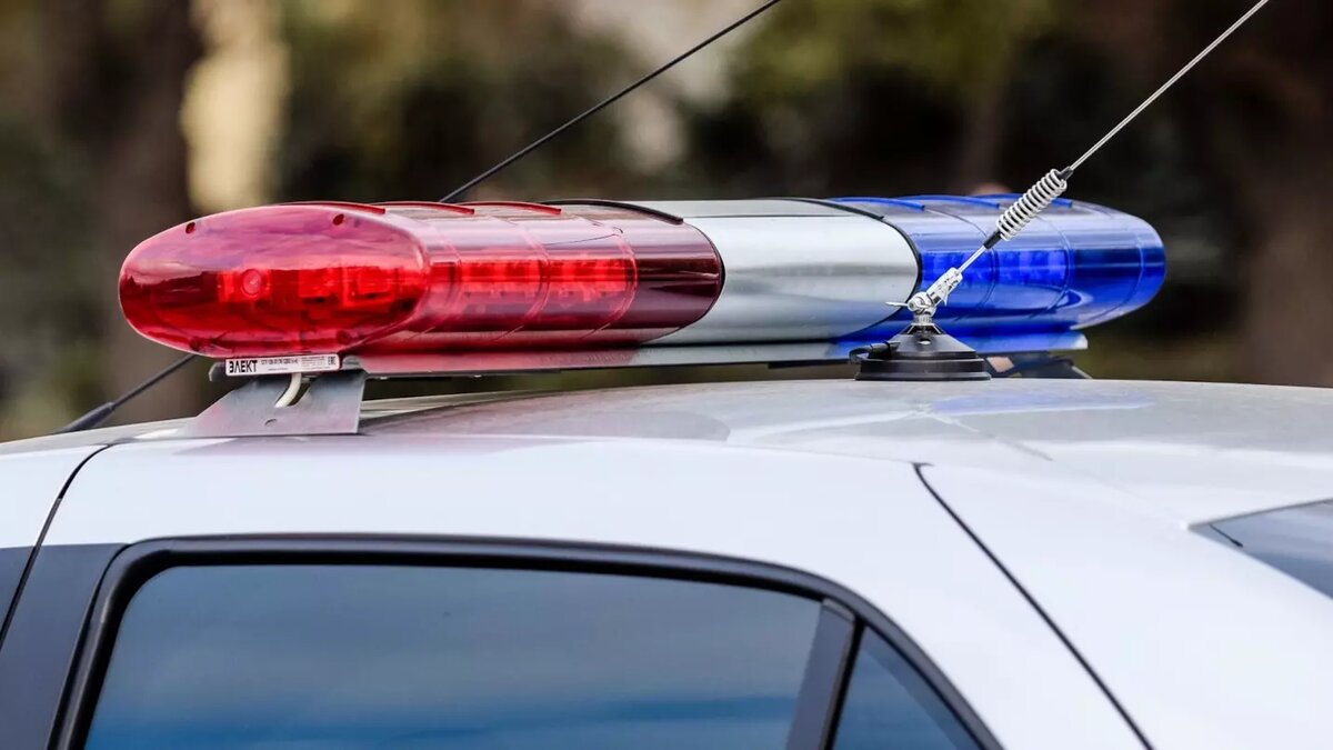     В Демском районе Уфы сбили насмерть косулю. Об этом сообщили в Telegram-канале центра реабилитации диких животных «Пин и Пуф».