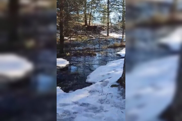 Фото: Pr Scr youtube.com / Экосфер Зеленский