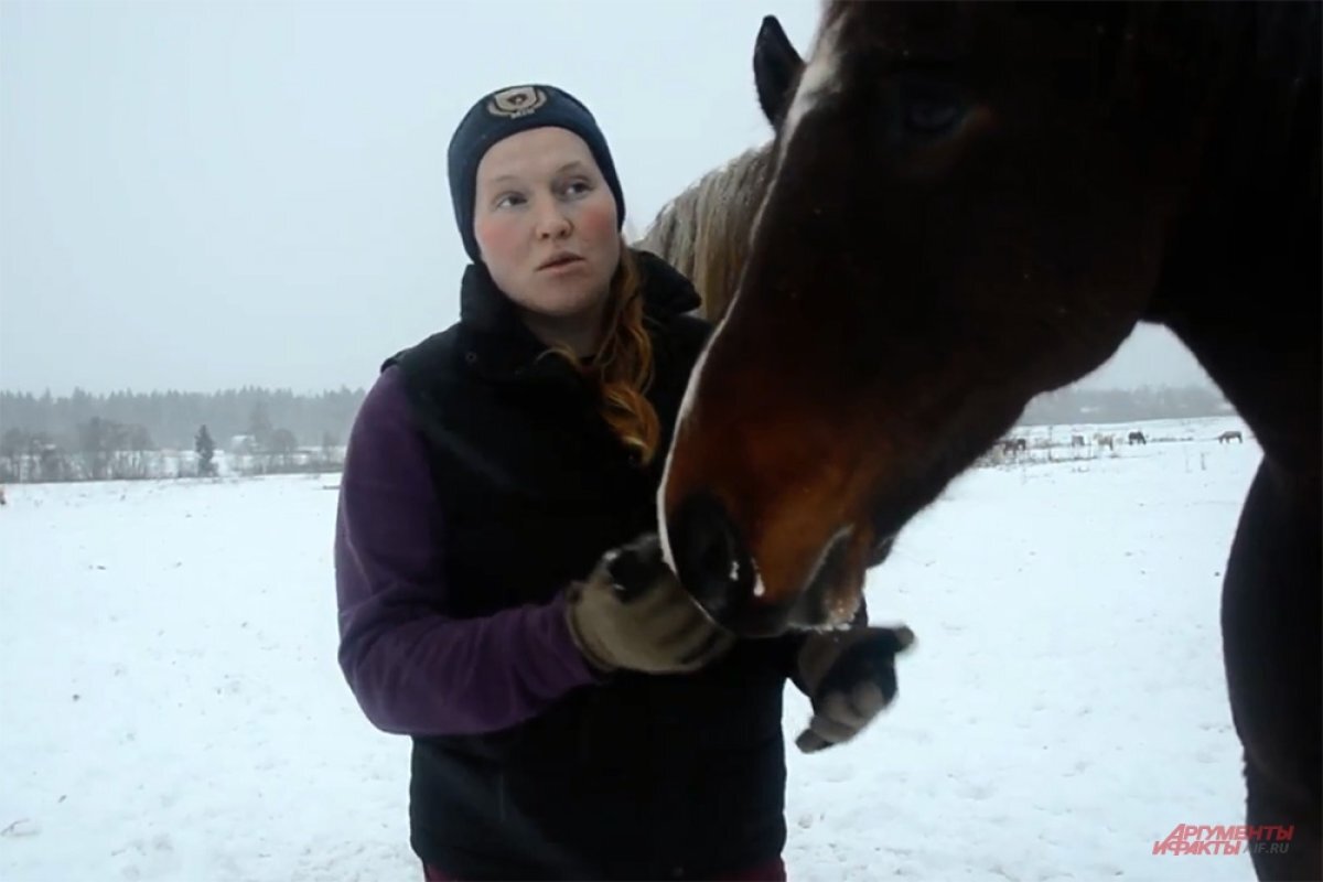    В Ухте выявили очаг инфекционной анемии лошадей