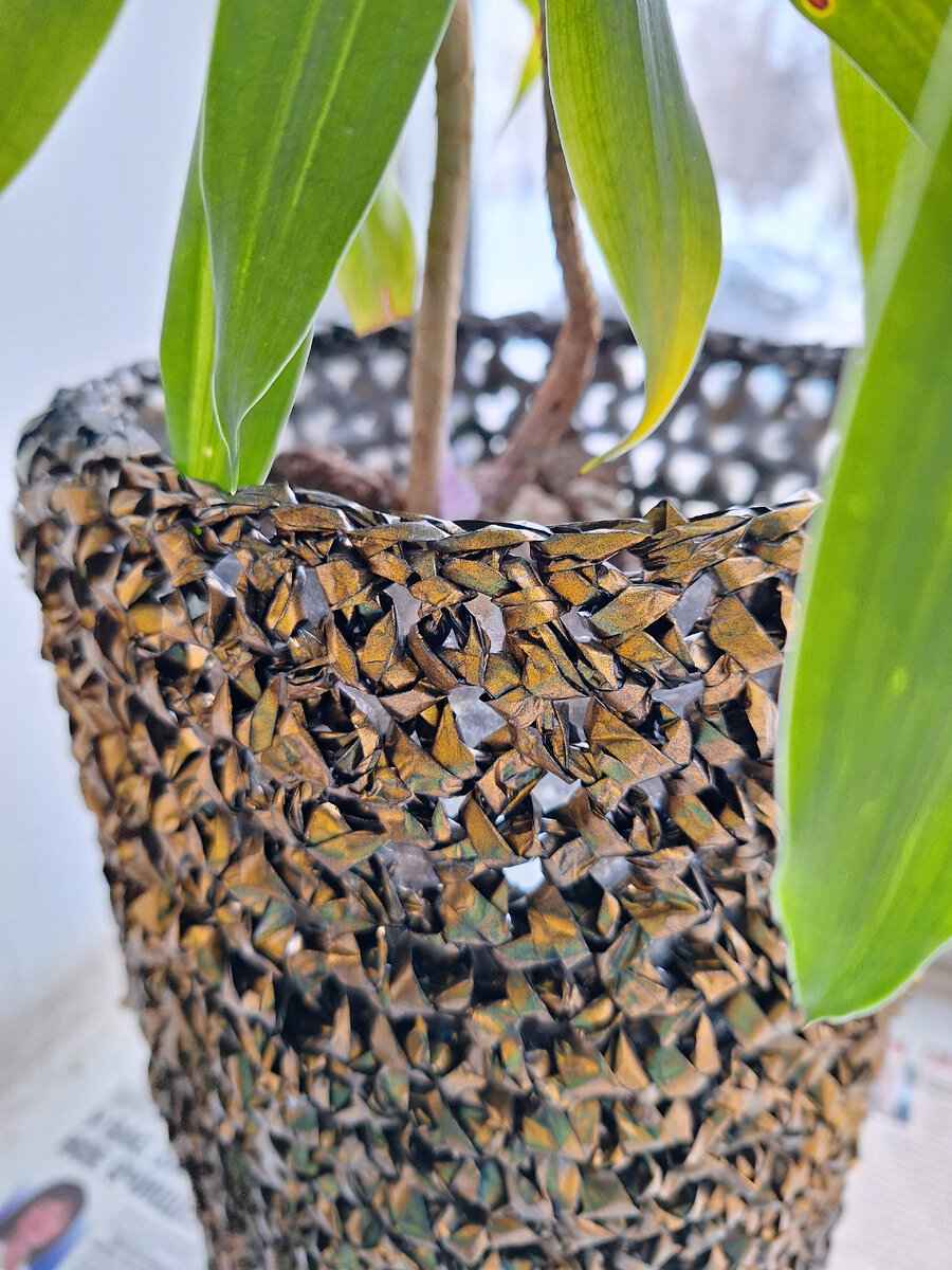 В подъезде на подоконнике  увидела цветок в оплетеной красиво пластиковой бутылке. 