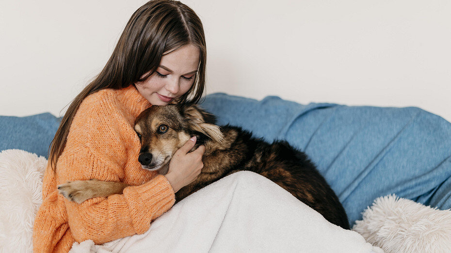     Источник здесь и далее: freepek.com