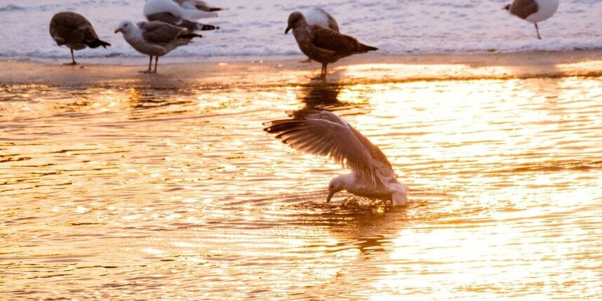    Фото: Алена Бобрович.