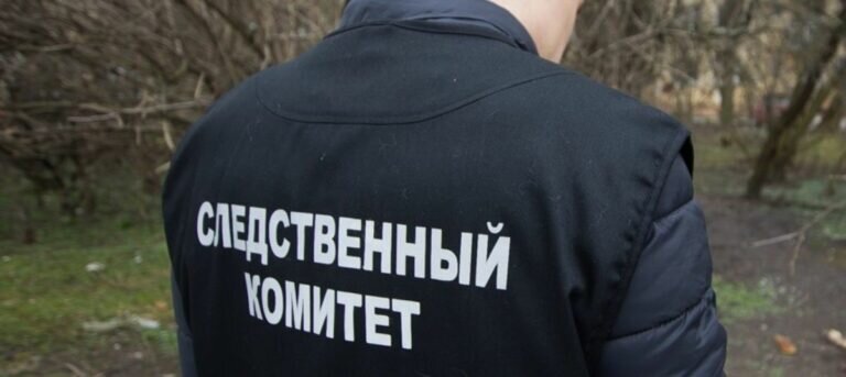    18-летнего курьера мошенников из Соль-Илецка осудят за хищения у пенсионеров Оренбурга Белов Михаил Александрович