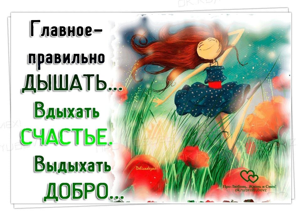 Интернет - свободный доступ