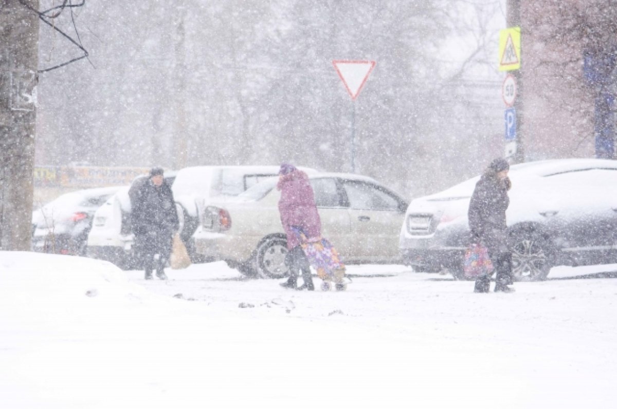    В Туле 21 февраля ожидается снег и сильный ветер