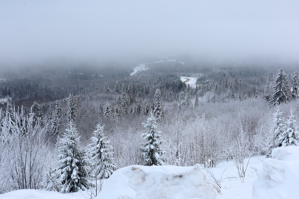 Фото: Elena Mayorova/Global Look Press