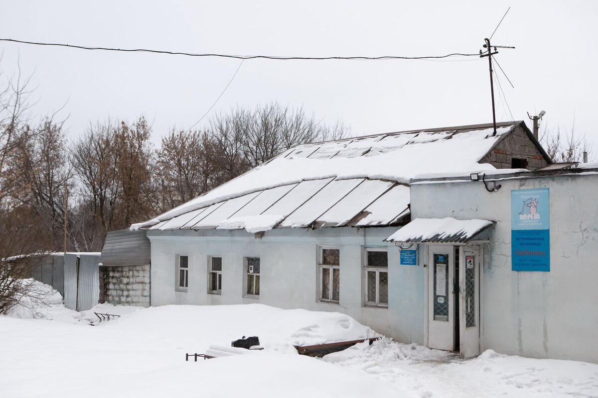 Приют любимец тамбов