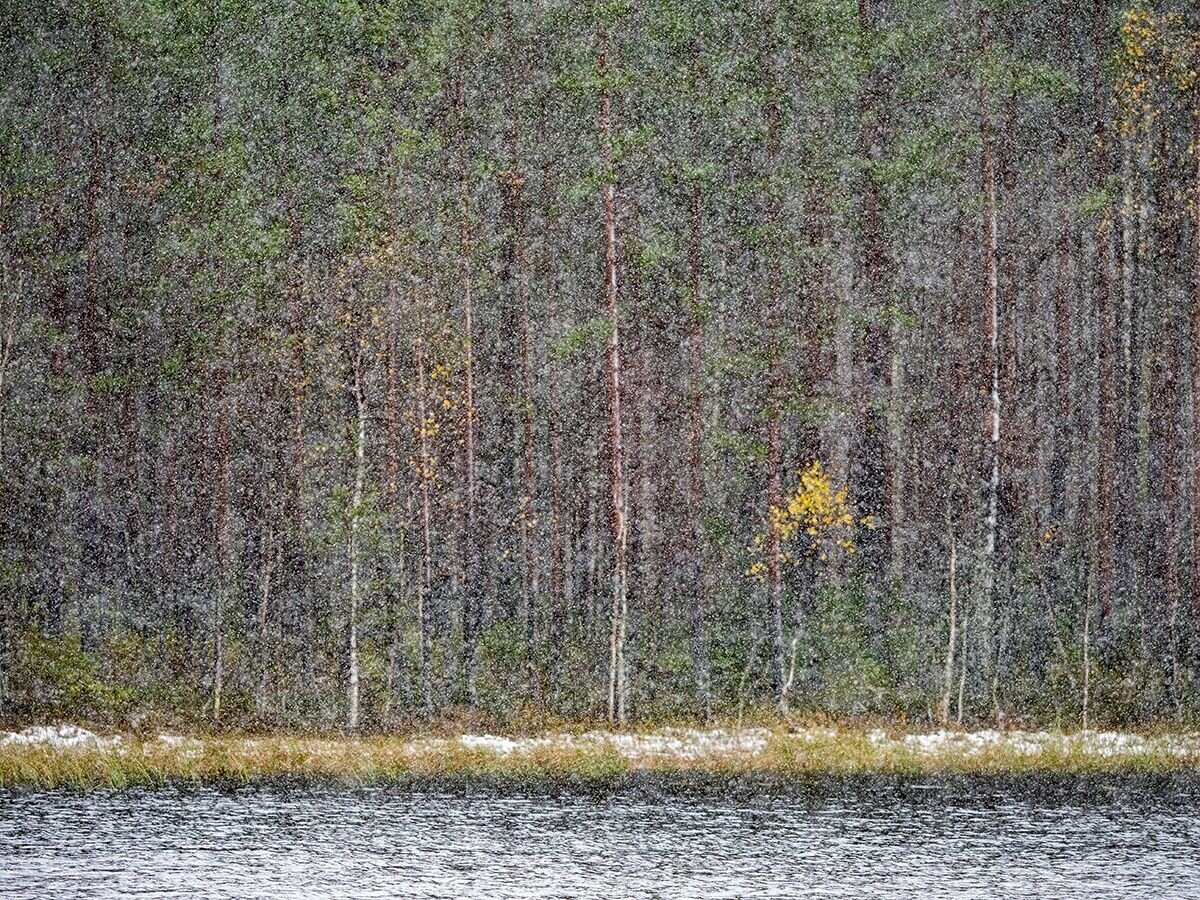 Прогноз погоды в петрозаводске на сегодня. Петрозаводск климат. Подробный прогноз погоды петрозаводск. Погода в петрозаводске. Погода в петрозаводске на неделю.