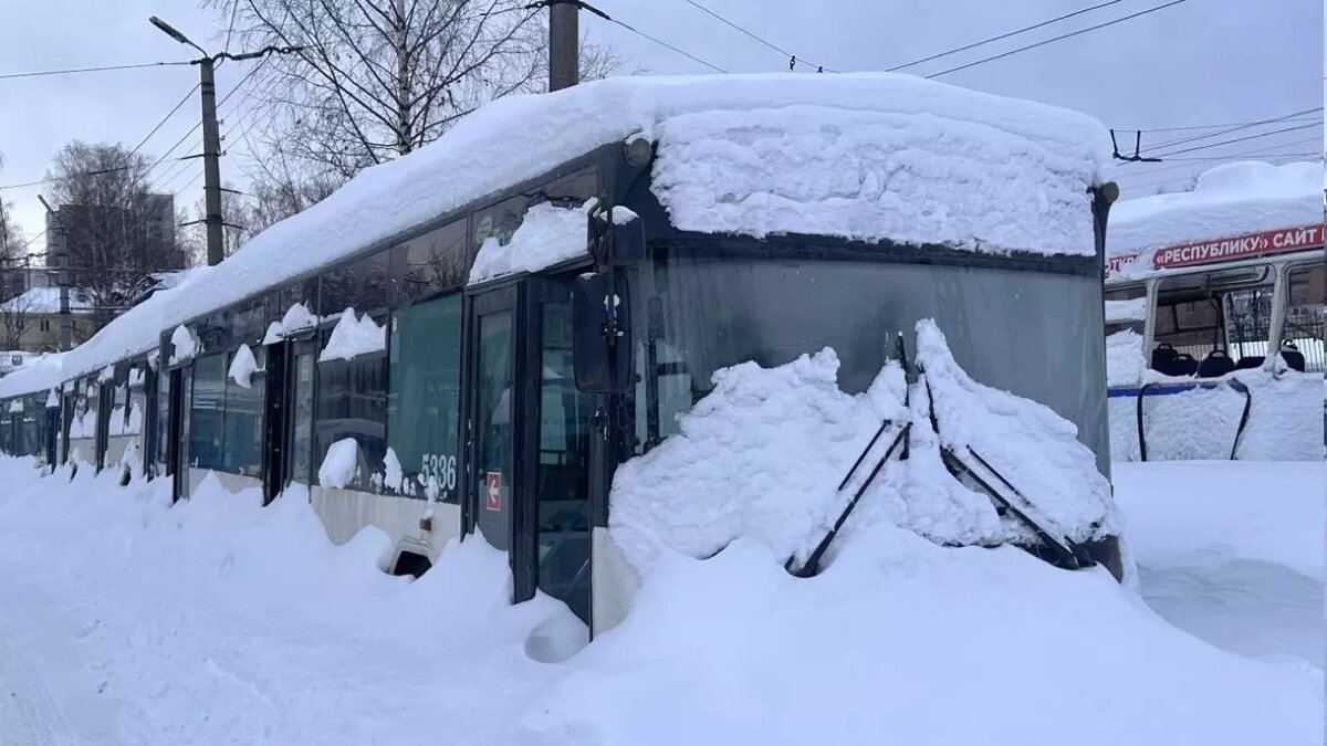     Троллейбусы, недавно прибывшие в Петрозаводск из Санкт-Петербурга, не эксплуатируются и просто гниют, утверждают авторы тематического паблика в соцсети.